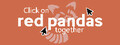 Click on red pandas together