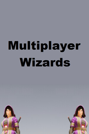 Multiplayer Wizards cover art
