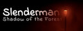 Slenderman: Shadow of the Forest