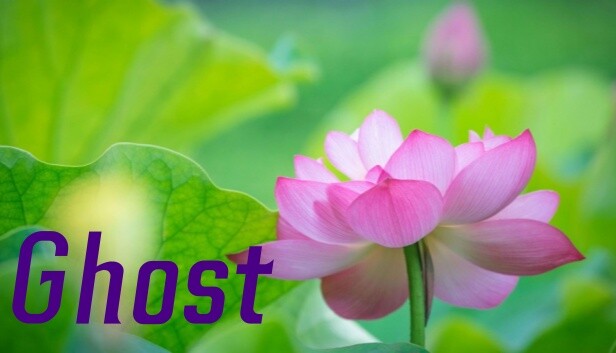 Ghost Steam capsule image