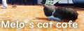 Melo's cat cafe