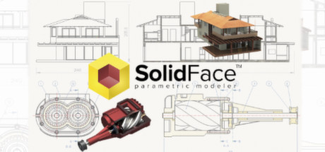 SolidFace Pro 2015