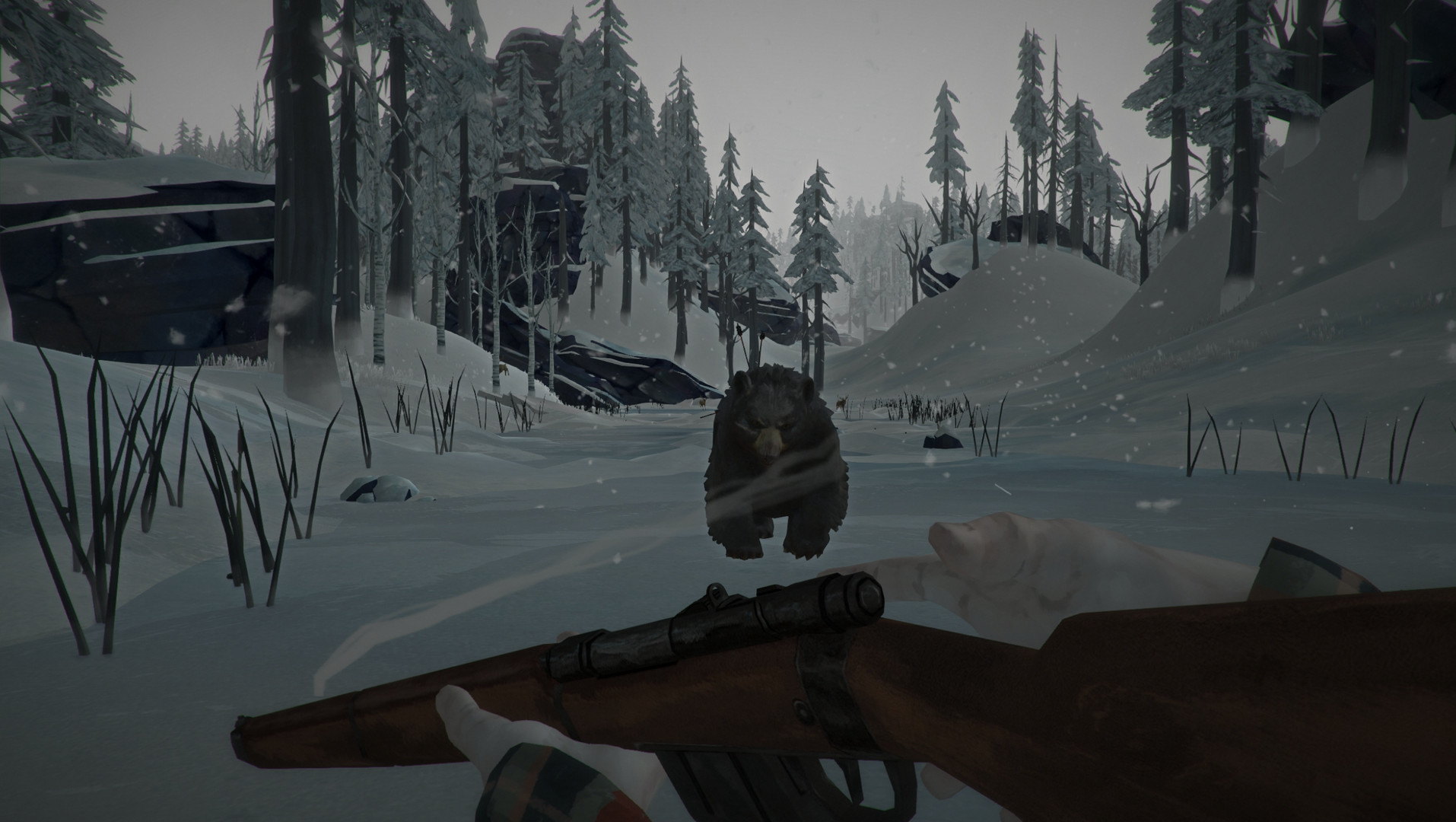Steam The Long Dark