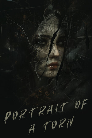 Portrait of a Torn cover art