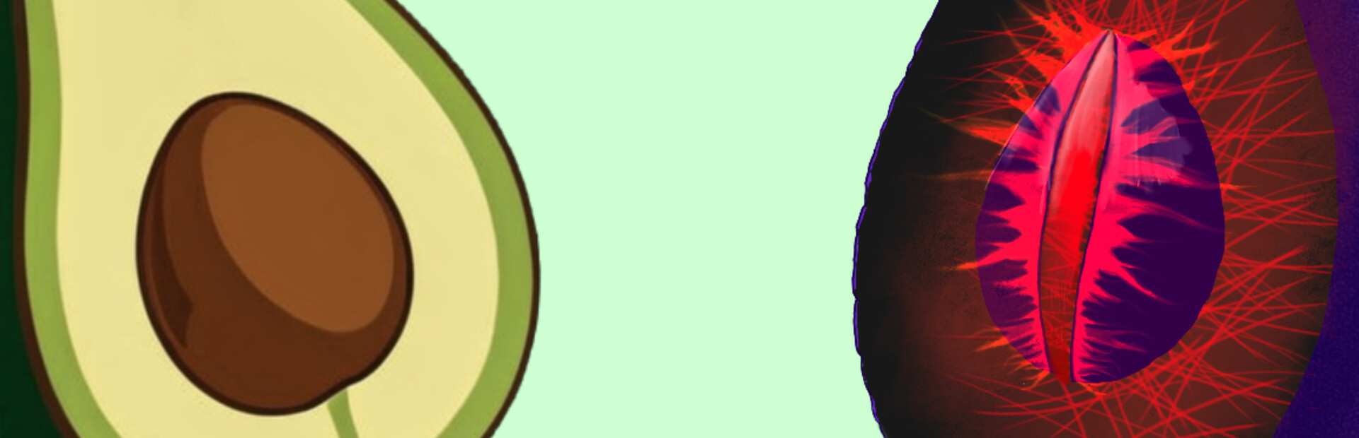 Avocado