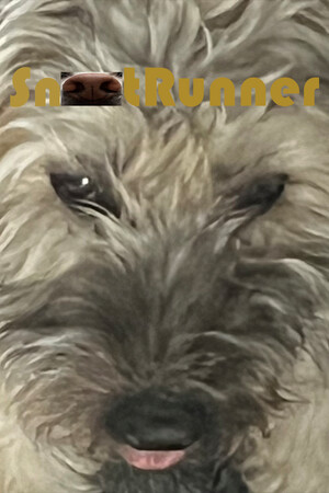 Snoot Runner cover art