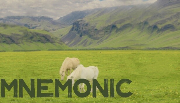 Mnemonic Steam capsule image