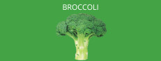 Broccoli
