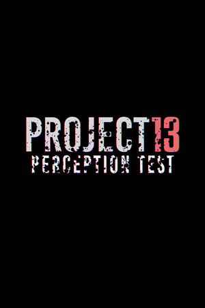 PROJECT 13 Perception Test cover art