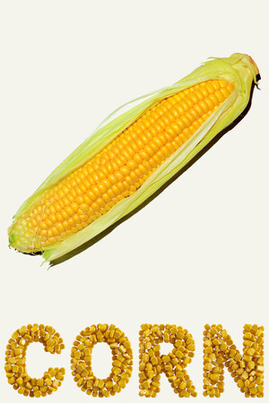 CORN cover art