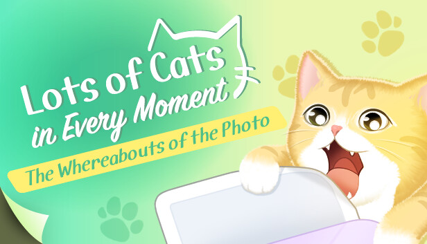 Lots of Cats in Every Moment: The Whereabouts of the Photo Steam capsule image