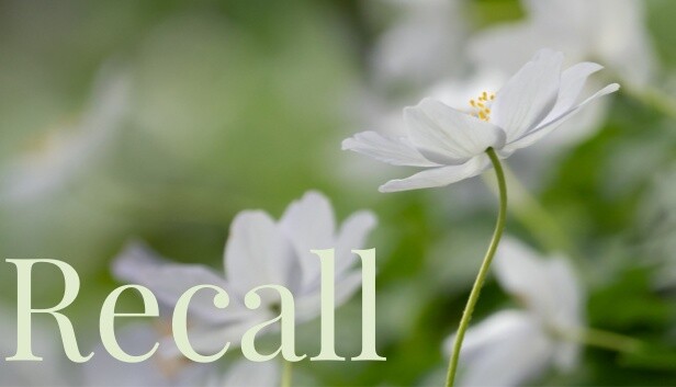 Recall Steam capsule image