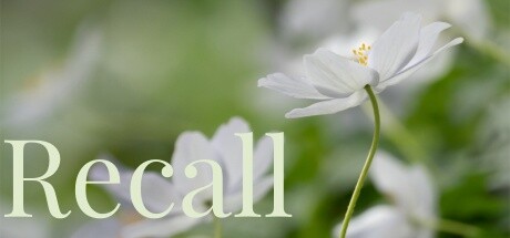 Recall Steam header image