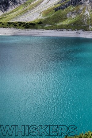 76bd36ed-2b92-b185-9c08-f847cd300548