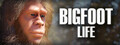 Bigfoot Life