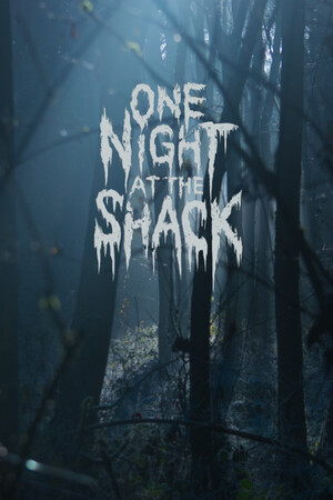 One Night At The Shack cover art