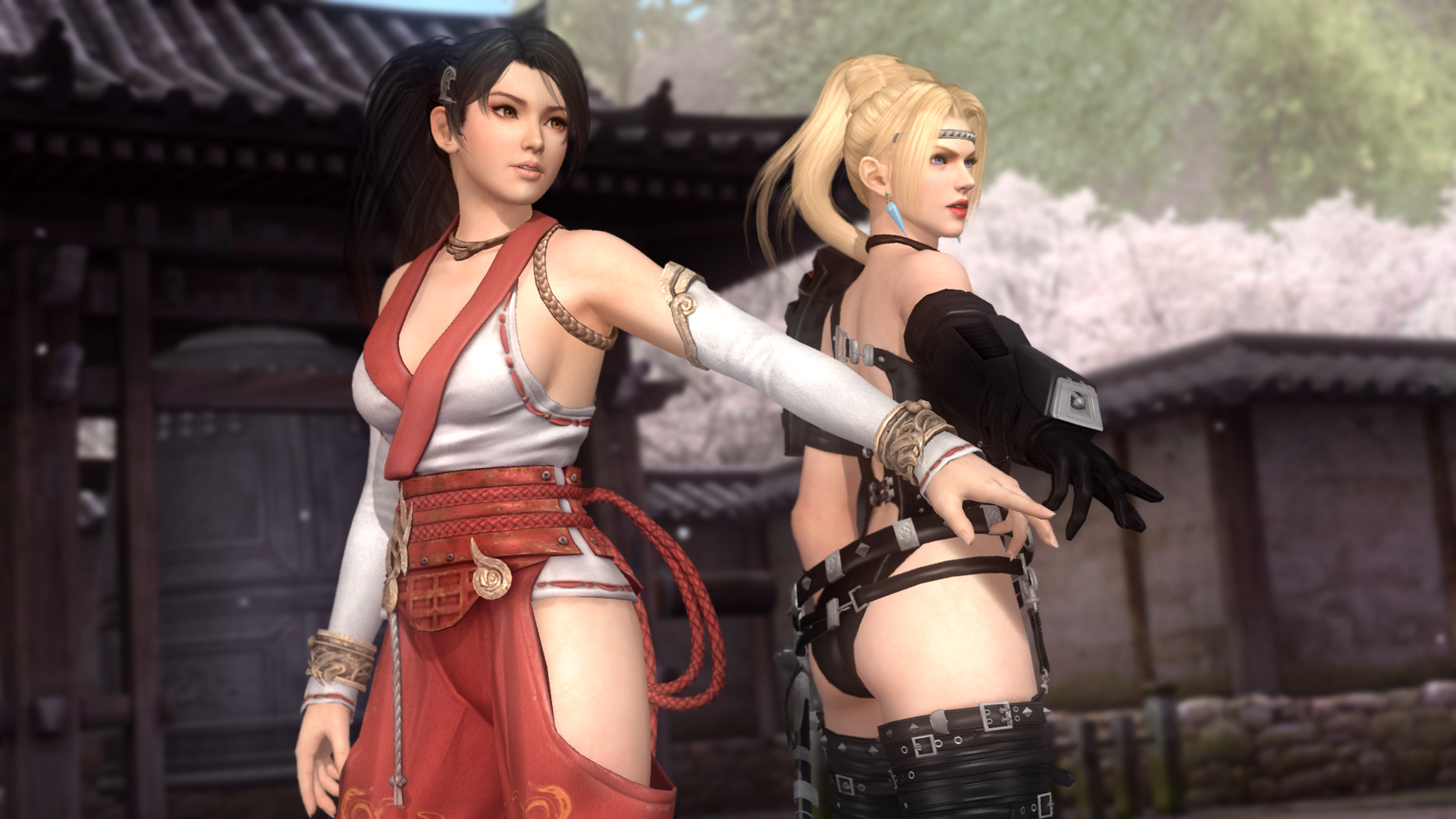 Dead or Alive 5: Last Round (Video Game 2015) - IMDb