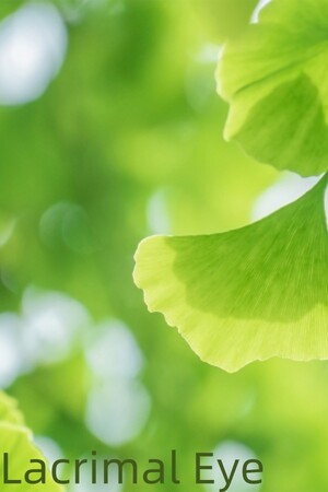 056fccee-ae3c-45fc-981b-8083825fe448