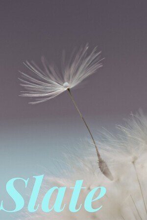 1b509639-5c83-32b4-f066-02151a214b68