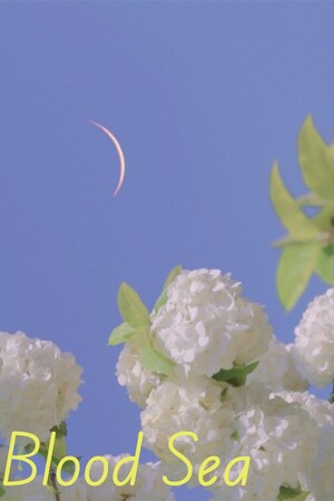 2af9f307-05da-a8e0-1233-0a50c123e763