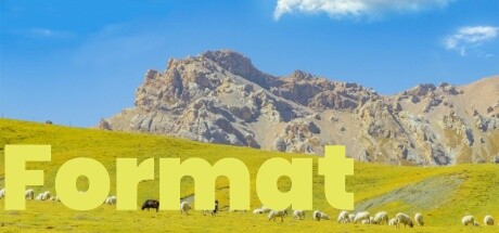 Format Steam header image