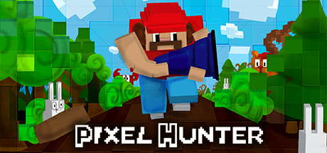 Pixel Hunter Cover Image