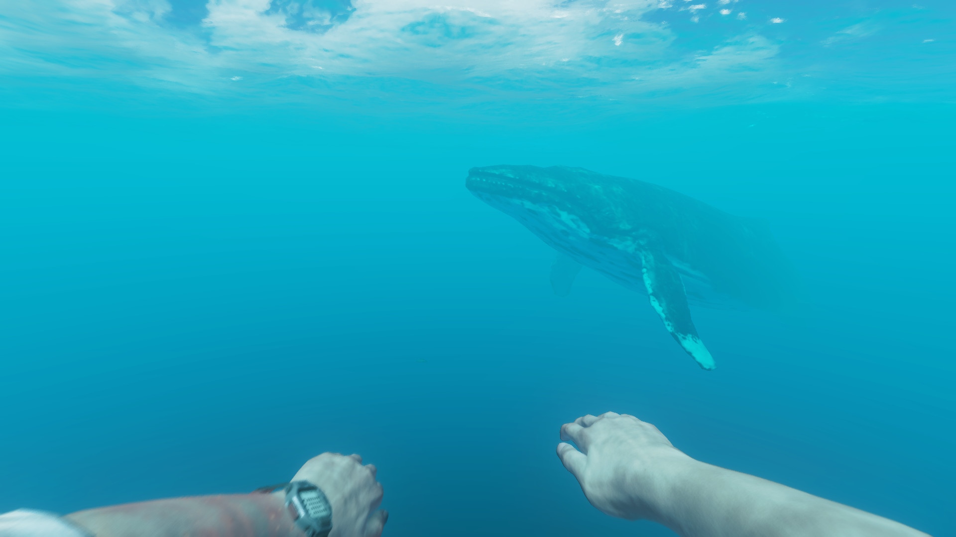 Stranded Deep В Steam