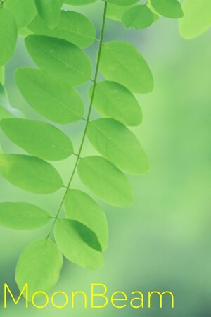 a69cbec1-4622-8443-f5ae-83f3d10d0da3