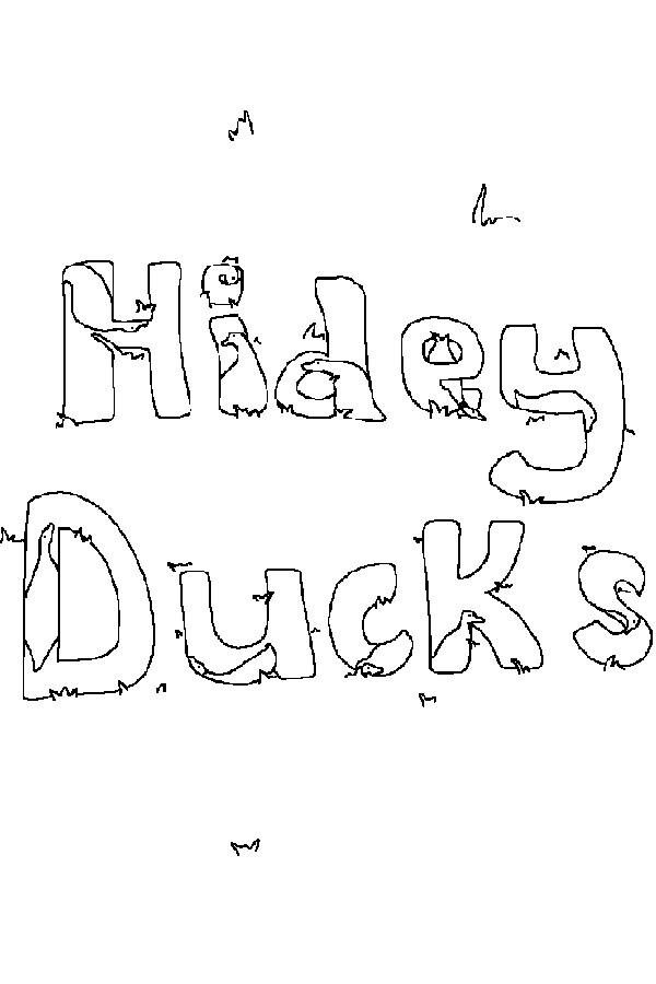 Hidey Ducks: Seasons