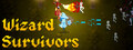 Wizard Survivors