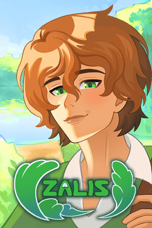 Zalis: A romantic adventure cover