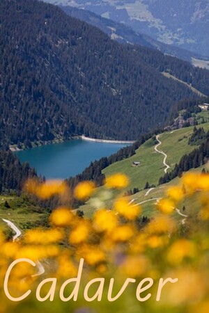 00da4399-dc59-3379-569f-6ffad649a8c5