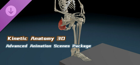 Kinetic Anatomy 3D - Advanced Animation Scenes Package Steam header image