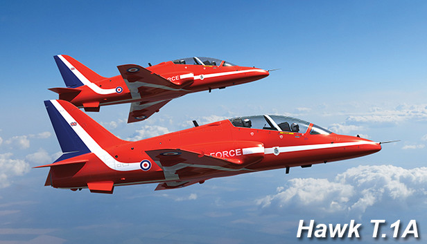 Hawk for DCS World Steam capsule image