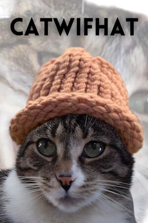 Catwifhat cover art