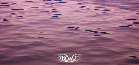 NOWV Steam header image
