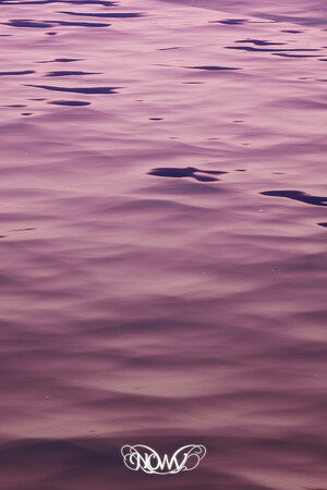 NOWV cover art