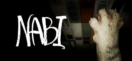 NABI Steam header image