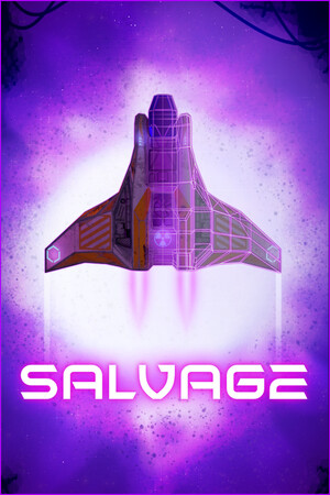 Salvage cover art