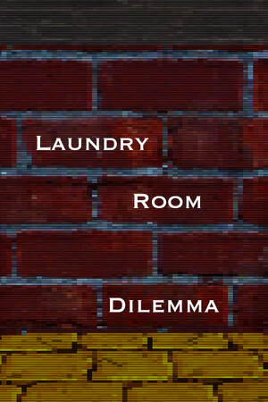 Laundry Room Dilemma cover art