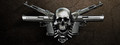 Arms Dealer