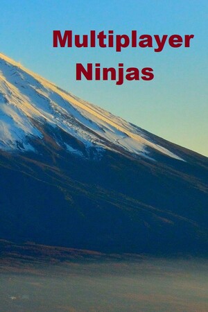 Multiplayer Ninjas cover art