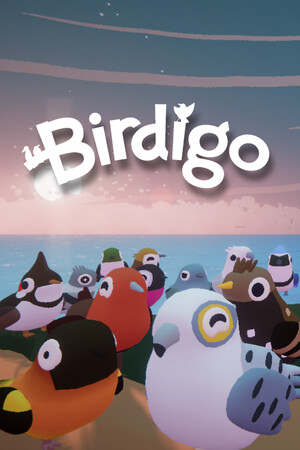 Birdigo cover art