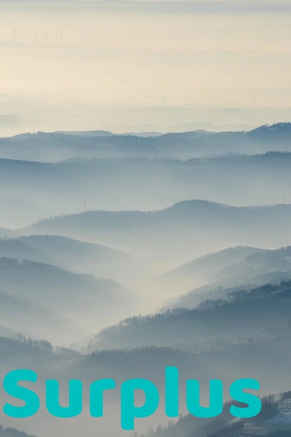 Surplus