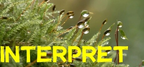Interpret Steam header image