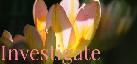 Investigate Steam header image