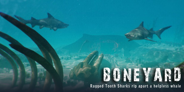 鲨鱼袭击死亡竞赛2/Shark Attack Deathmatch 2（V1.0.46）