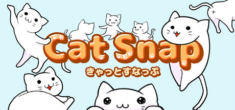 CatSnap