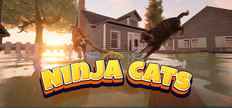 Ninja Cats header image