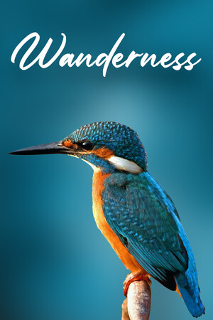Wanderness cover art